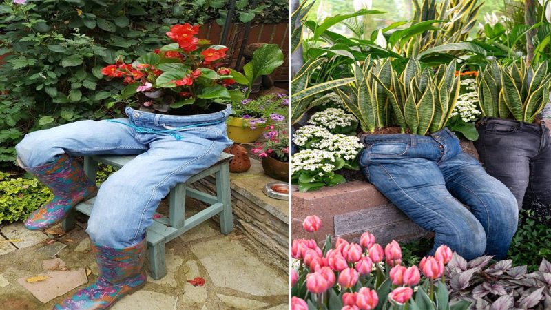 Upcycling Delight: Transforming Old Jeans into a Beautiful Garden