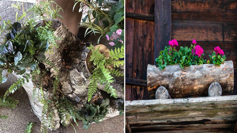 Crafting a Charming Garden Planter from Old Logs