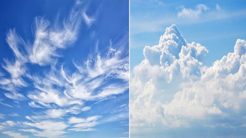 Exploring Celestial Wonders: Unveiling the Enchanting Beauty of the Cloud Tree