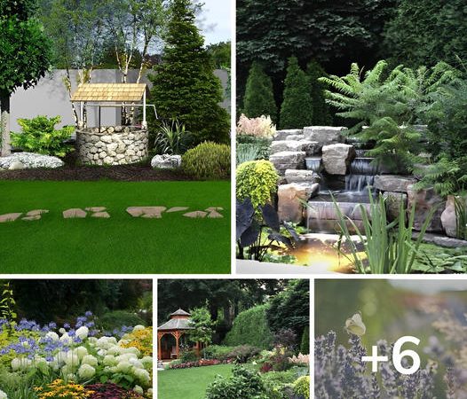 Innovative and Breathtaking Ways to Incorporate Spruce in Landscape Design