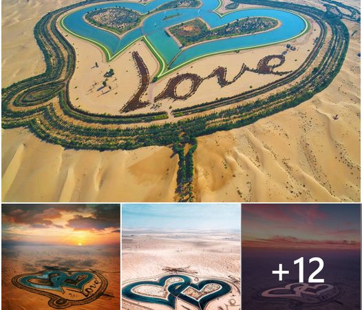 Love Oasis in the Desert: Dubai’s Serene Lake Retreat