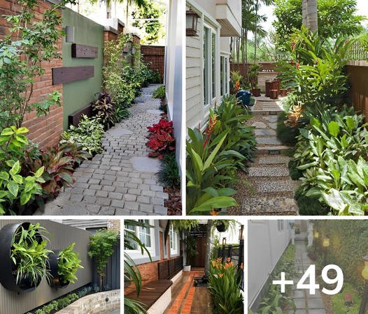 Creatively Enhance Your Small Garden by Decorating Around the Fence: 49 Inspiring Ideas