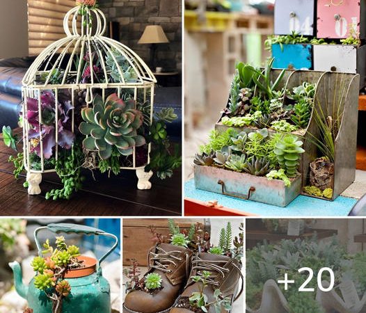 20 Unique And Whimsical DIY Succulent Planter Ideas For A Charming Home