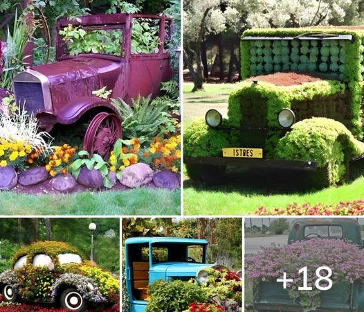 18 Incredible Old Car Garden Art Ideas: You Won’t Believe Your Eyes!