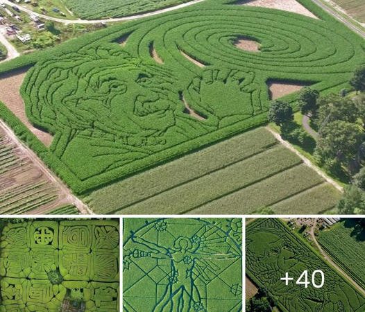 In the Fields of Precision: The Marvels of GPS-Designed Gardens