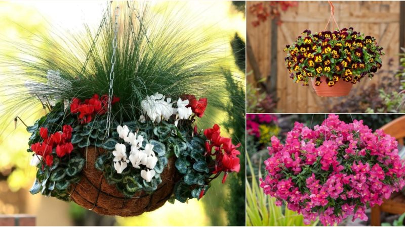 20 Beautiful hanging basket decoration ideas for fall. ‎