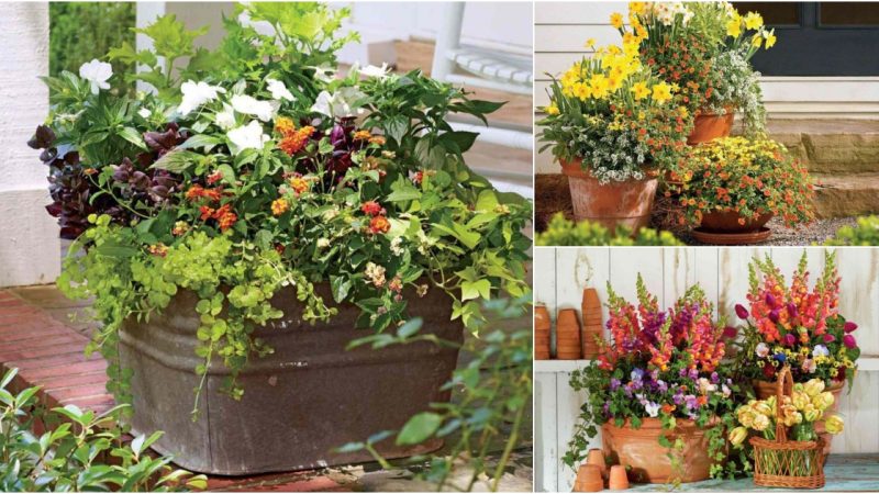 30 Innovative Container Garden Ideas to Elevate Your Landscape