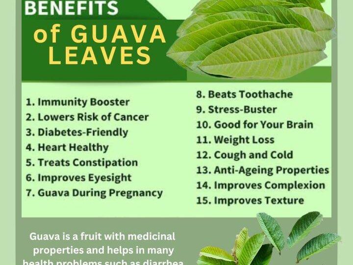 Unlock the Health Benefits of Guava Leaves: From Digestion to Skin Care