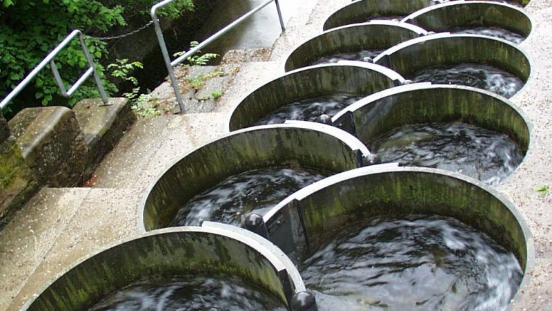 The Fish Ladder at Picoux Gorge, Switzerland – A Marvel of Eco-Friendly Engineering