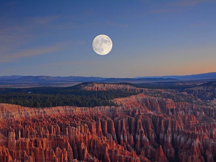 Enchanted by Moonlight: The Otherworldly Beauty of Bryce Canyon